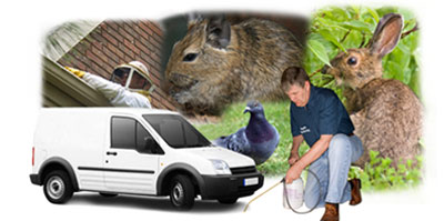 Corby local van